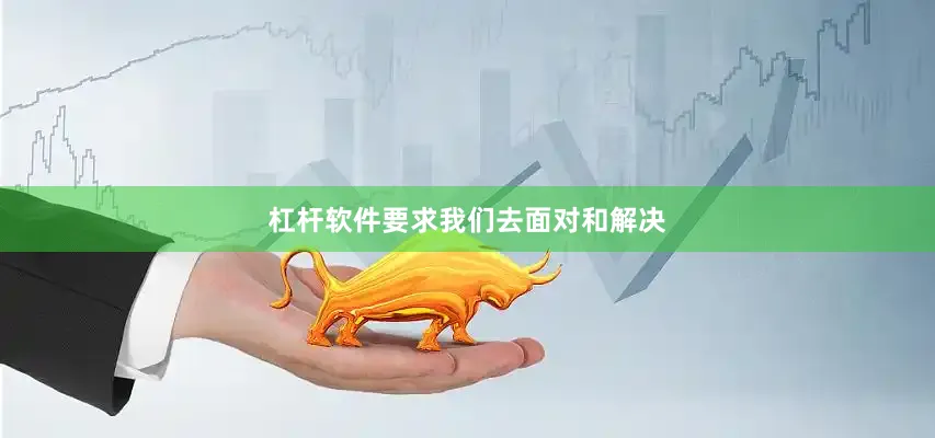杠杆软件要求我们去面对和解决