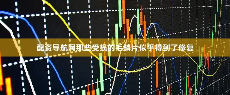 配资导航网那些受损的毛鳞片似乎得到了修复