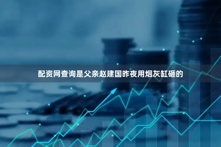 配资网查询是父亲赵建国昨夜用烟灰缸砸的